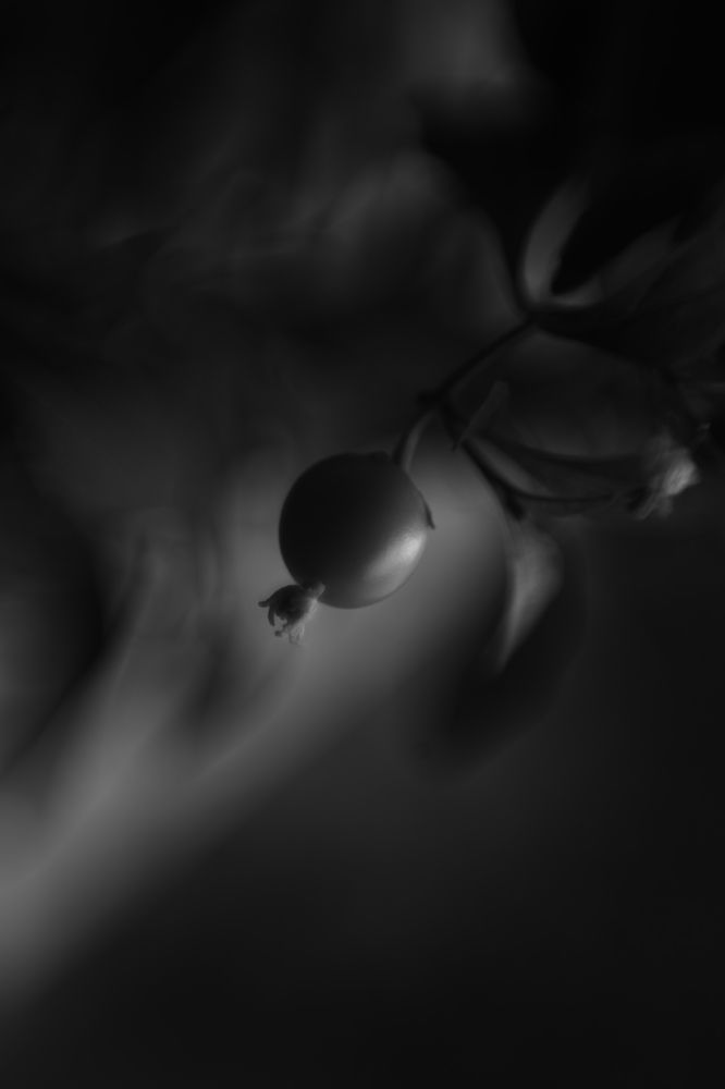 Photograph by Milla Luca