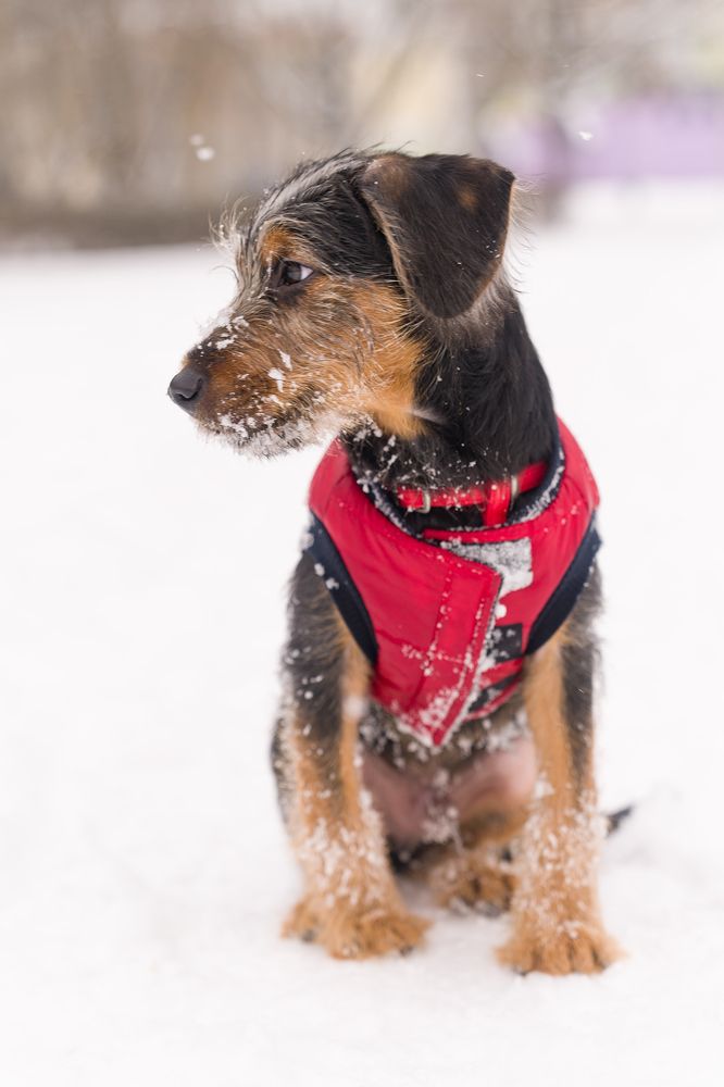 Photograph by Mariusz Kusy