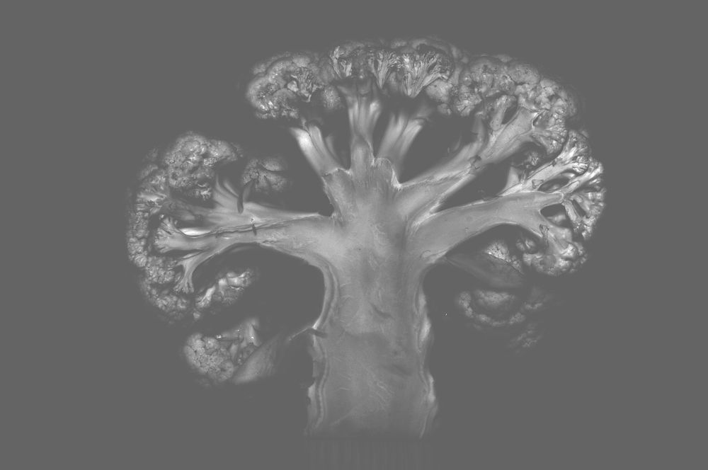 Простые     вещи .