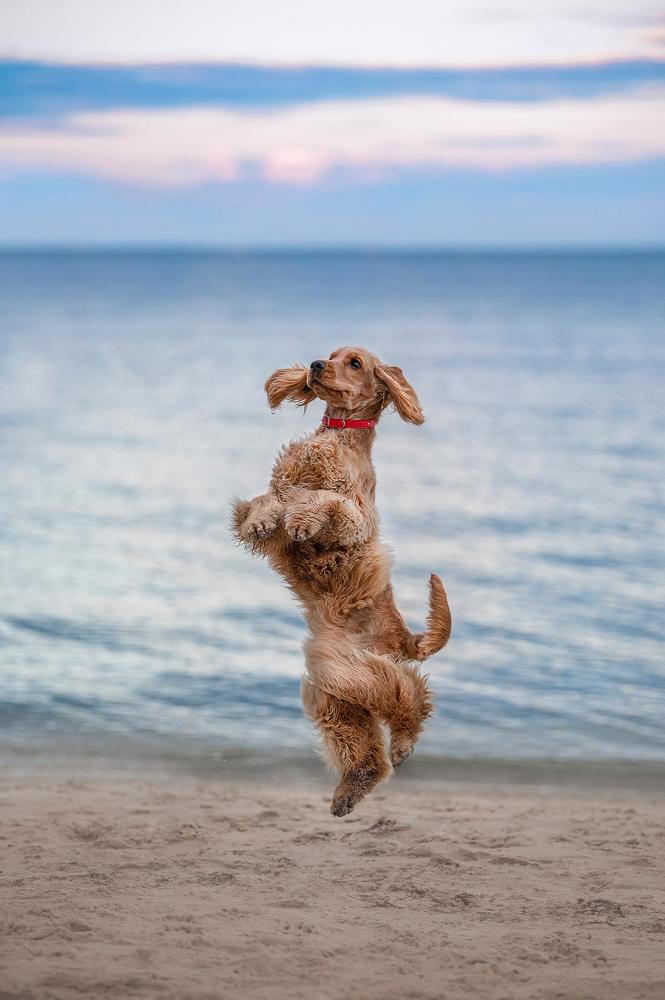 Photograph by Karina Saarestik