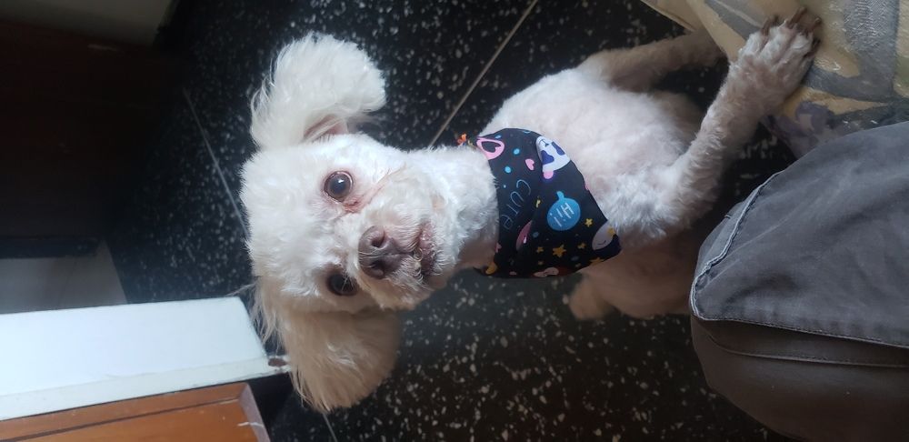 Photograph by Jonathan Enrique