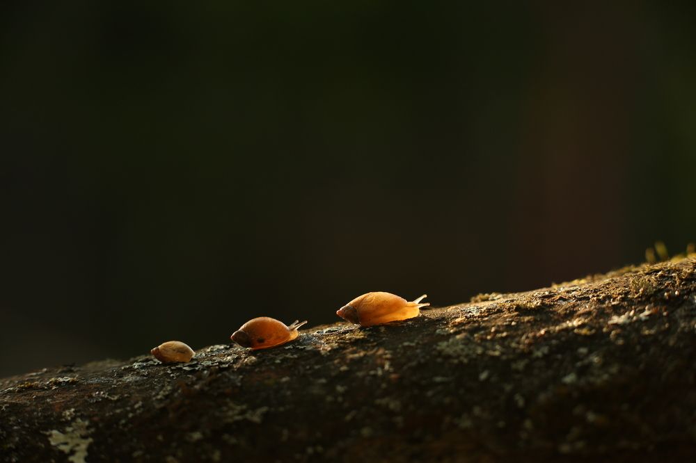 в ночи / in the night