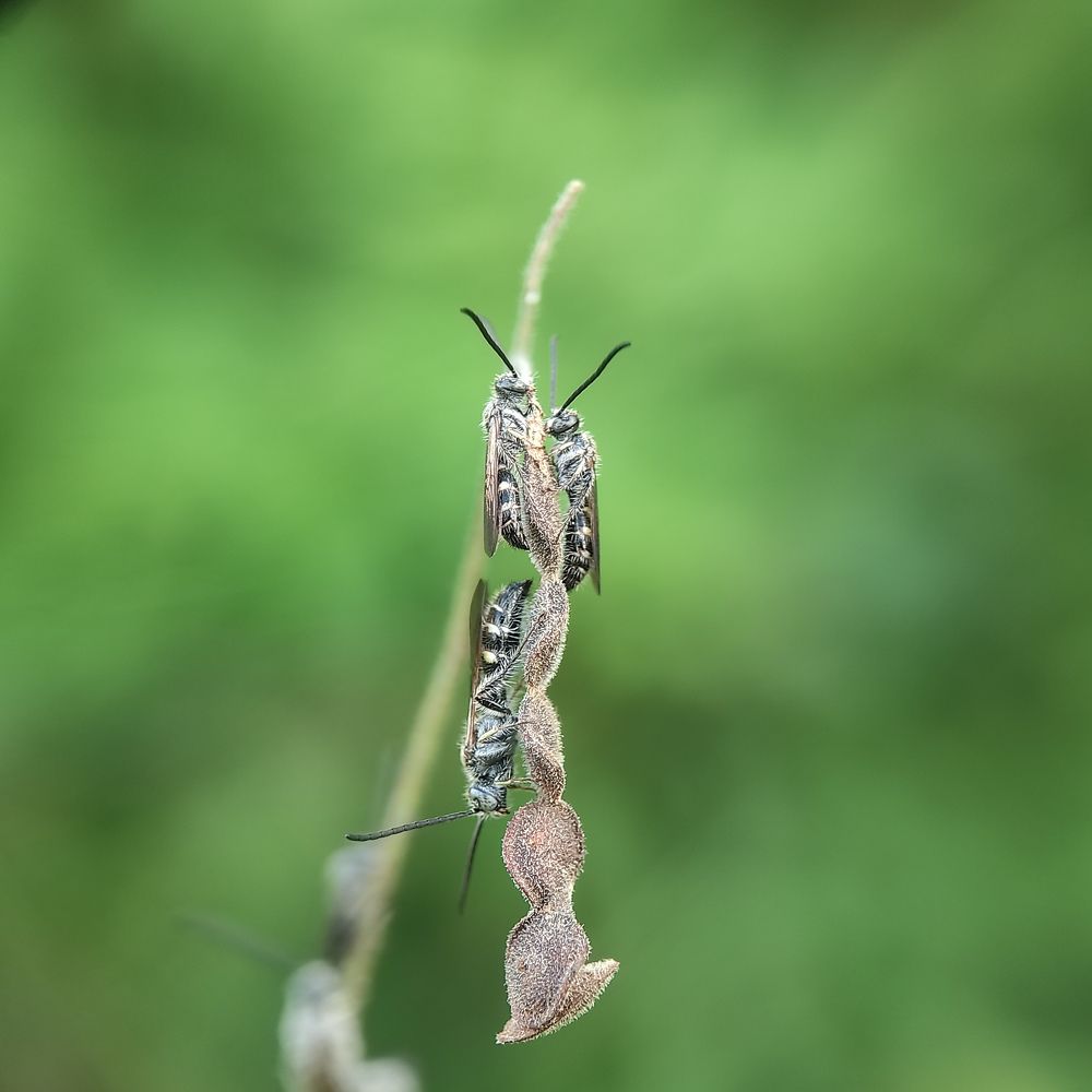 Photograph by Winda Octavianti Surjono