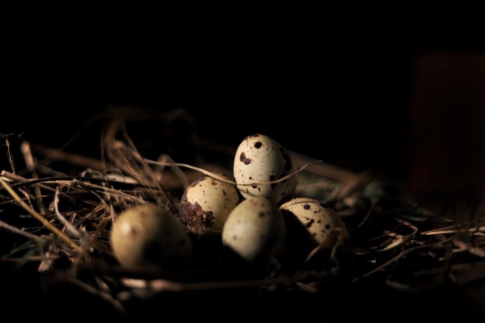 Photograph by Kh. Shaif