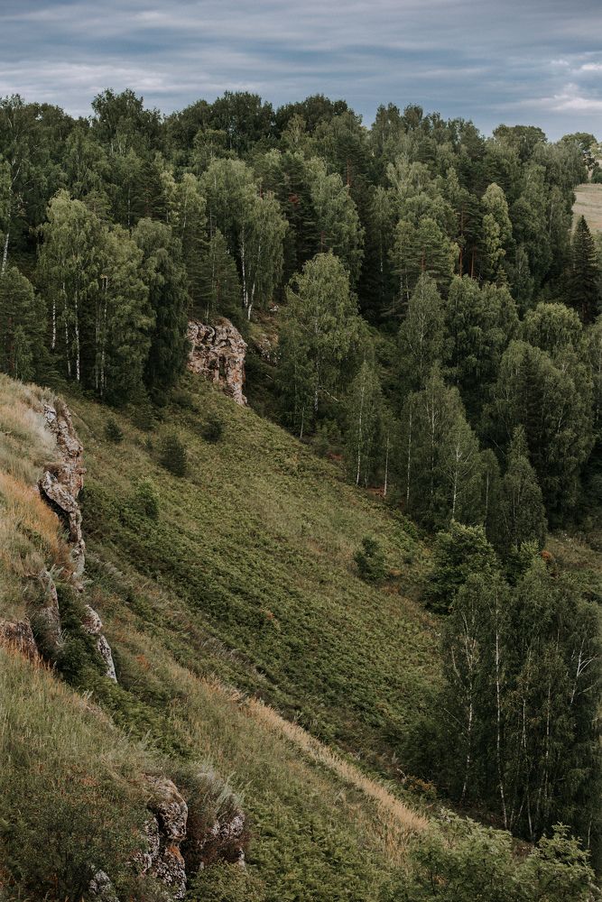 Заказник Пижемский