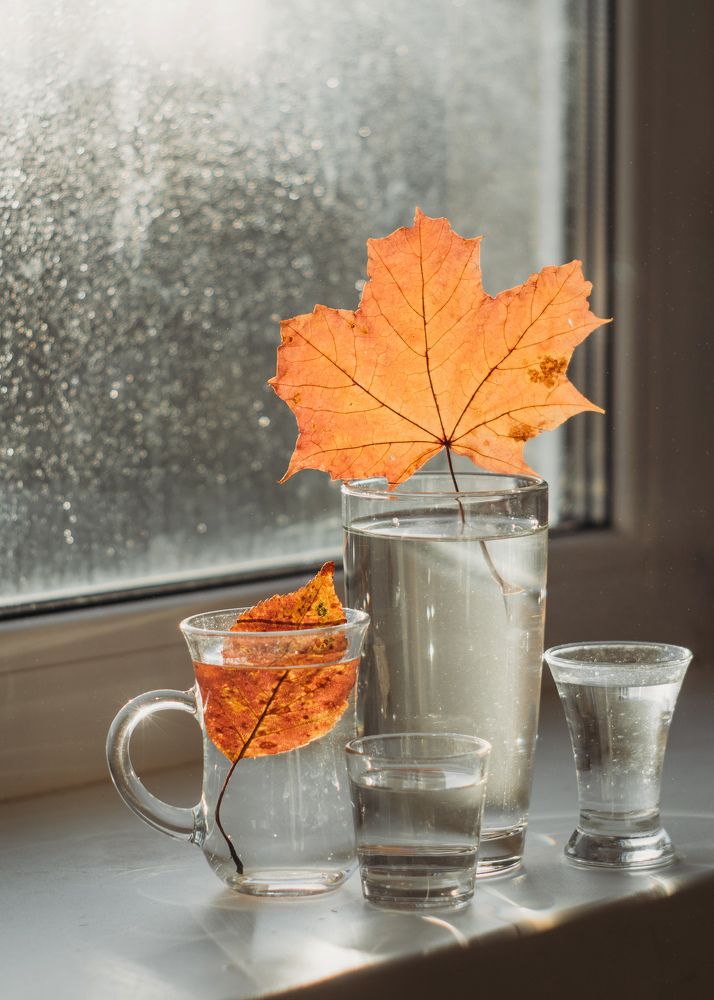 Фотография автора Мария Александрова