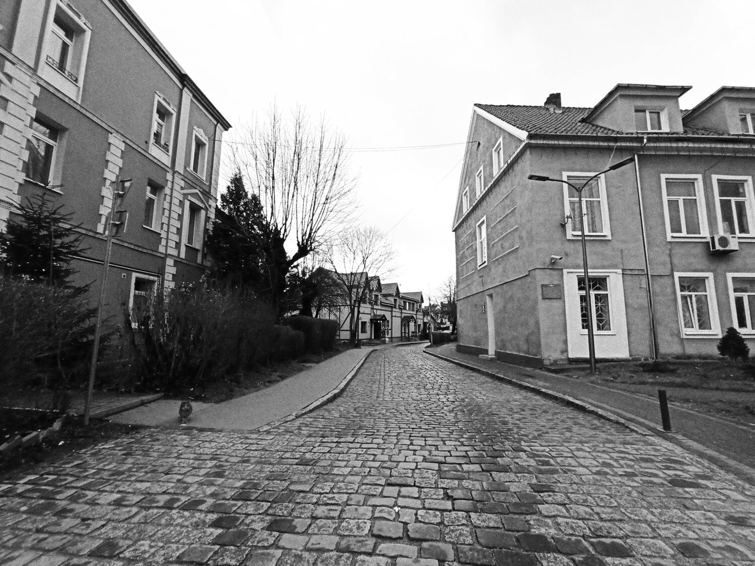 Photo #5850240
