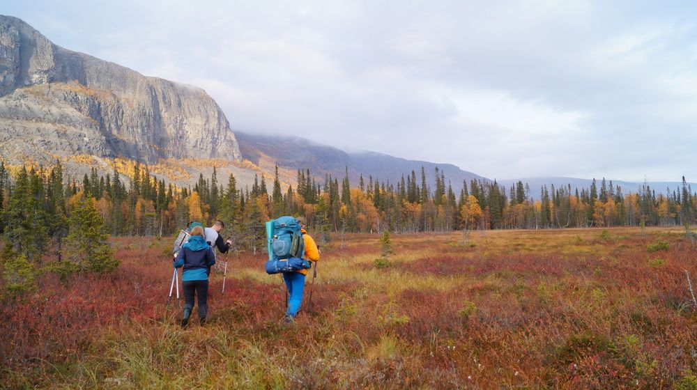 Болото в заказнике Сейдъявврь