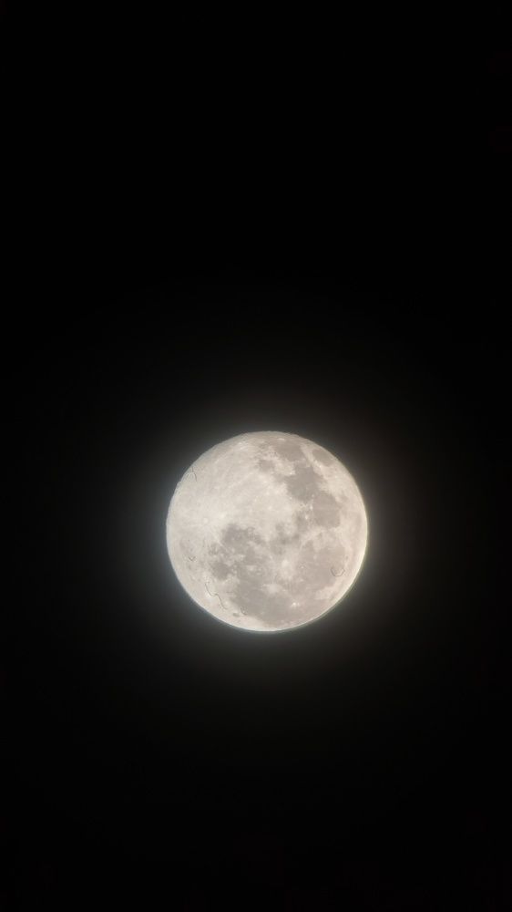 I Love You to the Moon and Back