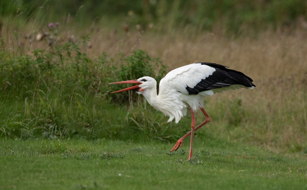 Фотография автора MARIA KULA