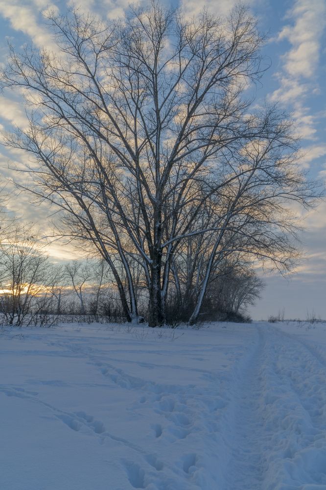 Photograph by Дмитрий Бельмаз