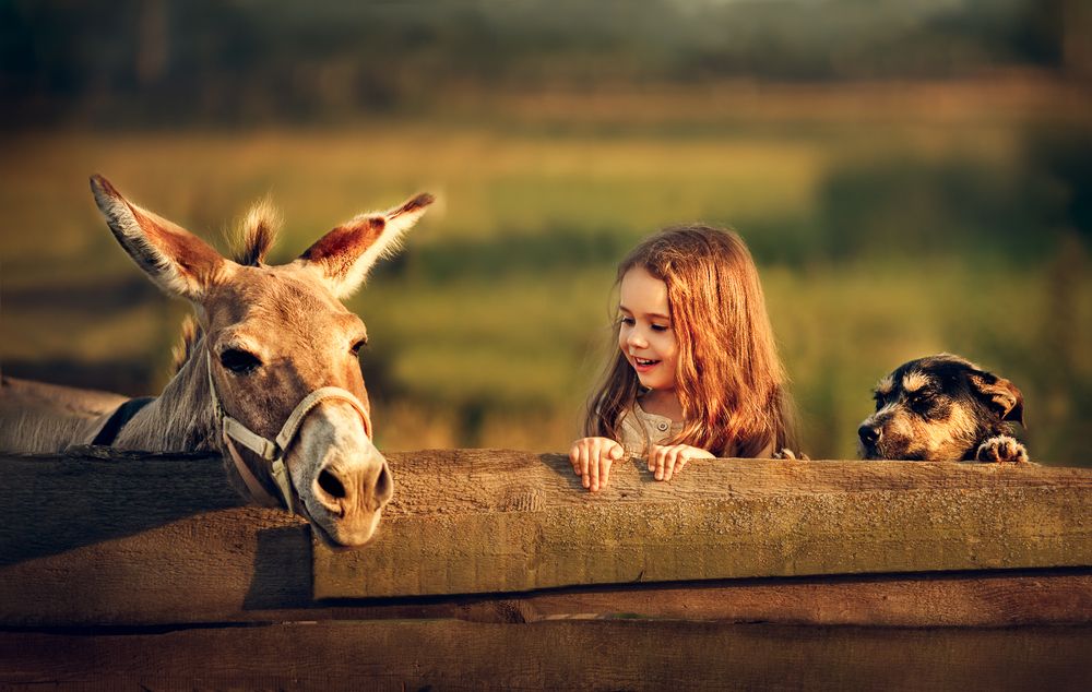 Photograph by Костюк Зоя