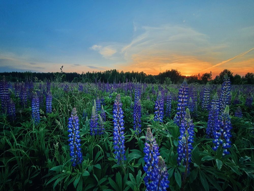 Photograph by Artem Gatin