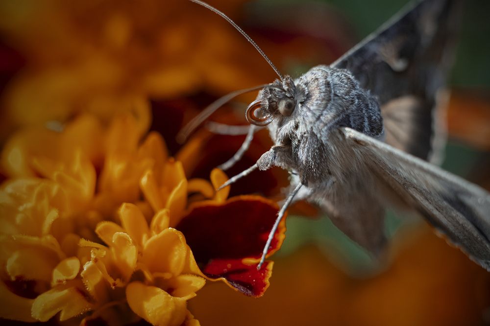 Photograph by Artem Gatin