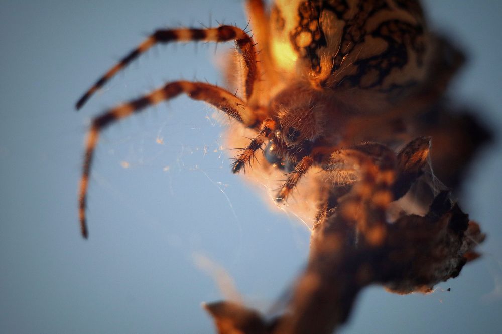 Photograph by Artem Gatin