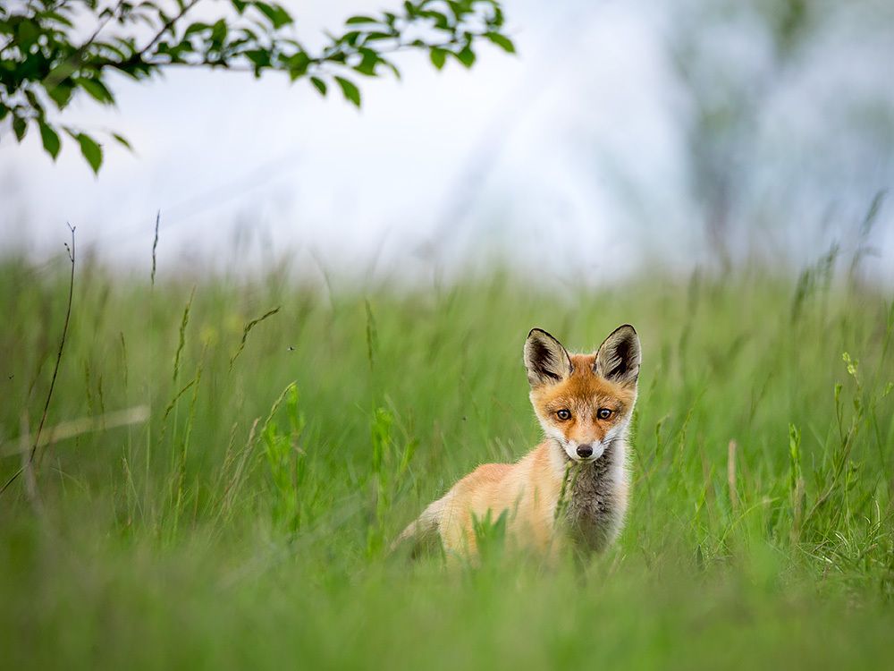 Photograph by Сергей Савви