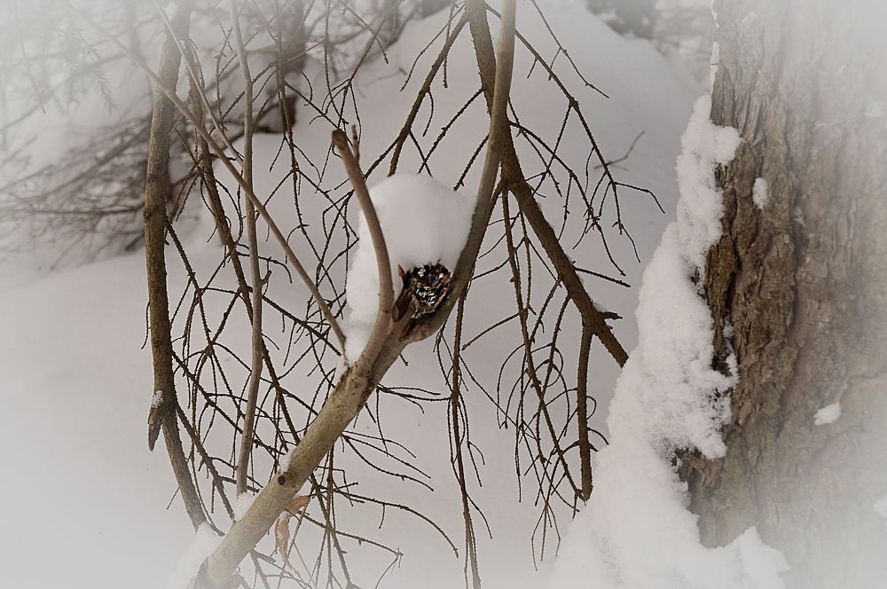 Позирование перед фотокамерой.