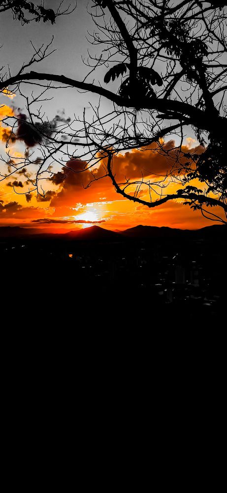 Photograph by Cesar Peña