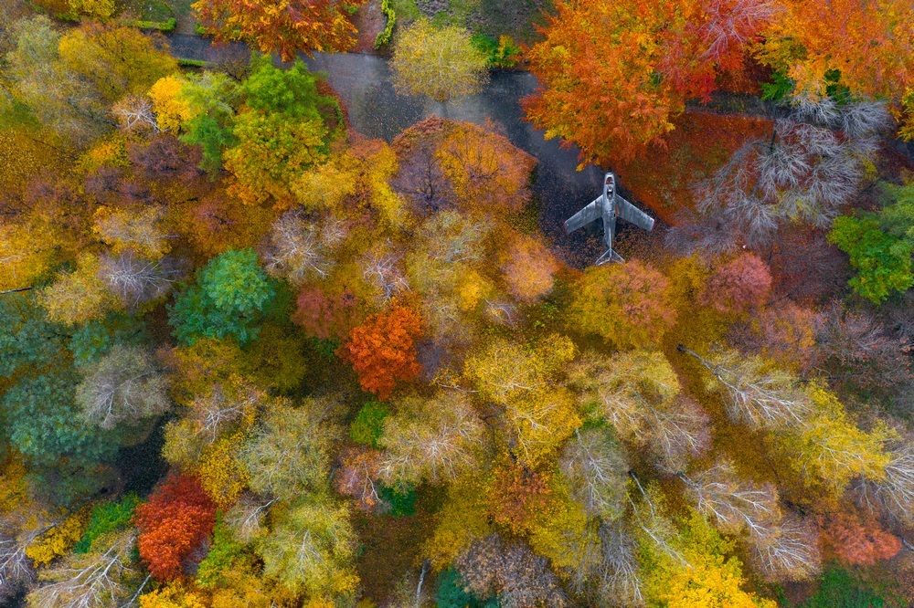 Photograph by Jan Ulicki