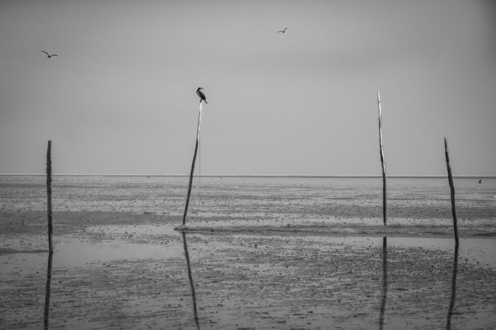 Photograph by Parsa Torabi