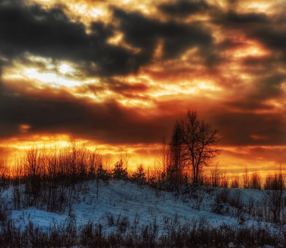 Photograph by Viktor Sheibak