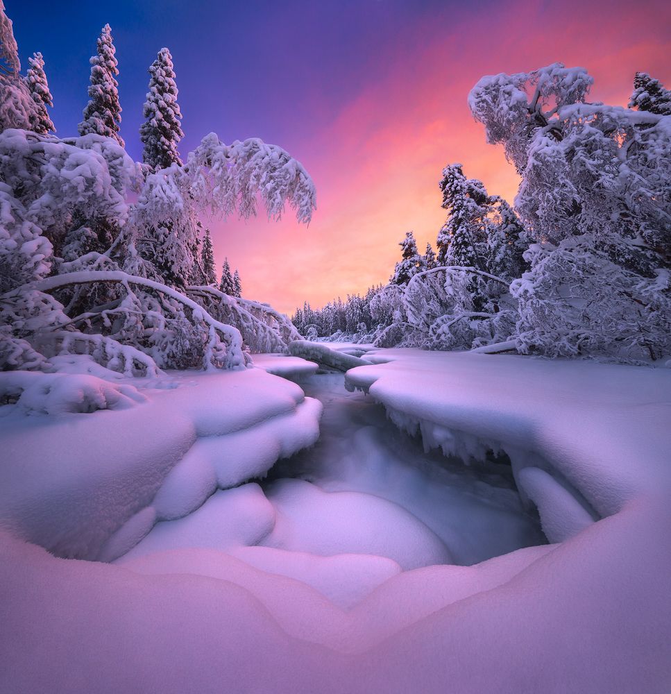 Январь по-Кольски