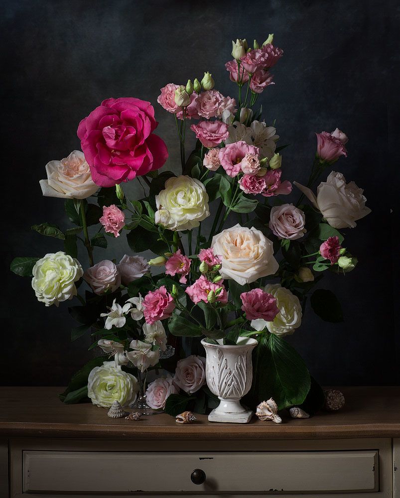 Фотография автора Алина Ланкина