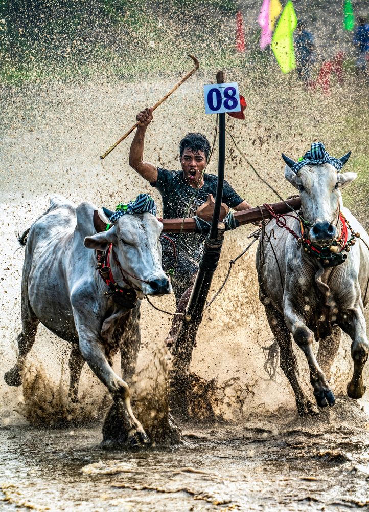 Photograph by Trung Luong