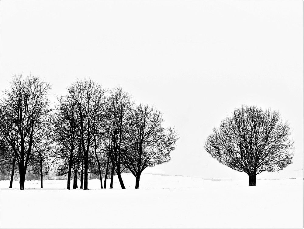 Photograph by Владимир Шнип