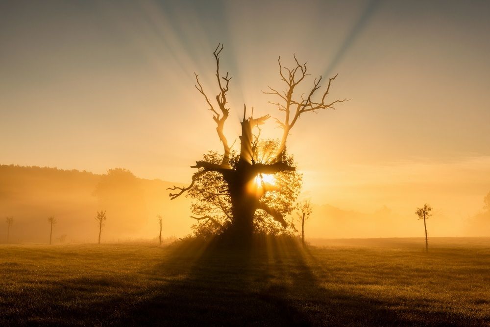 Photograph by Jan Ulicki