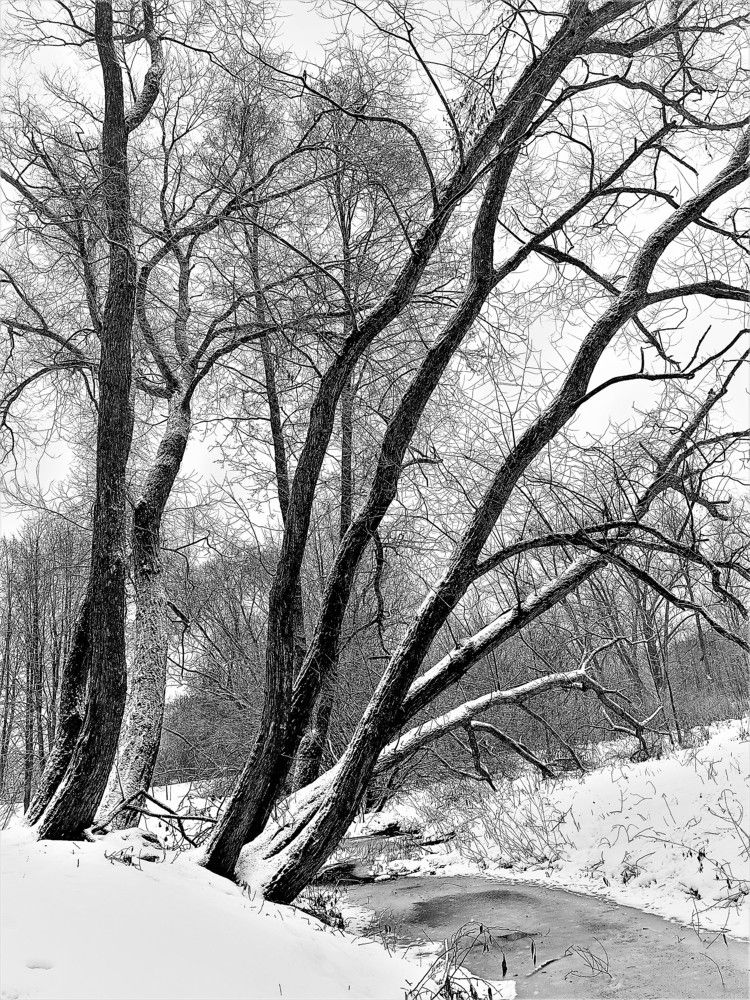 Photograph by Владимир Шнип