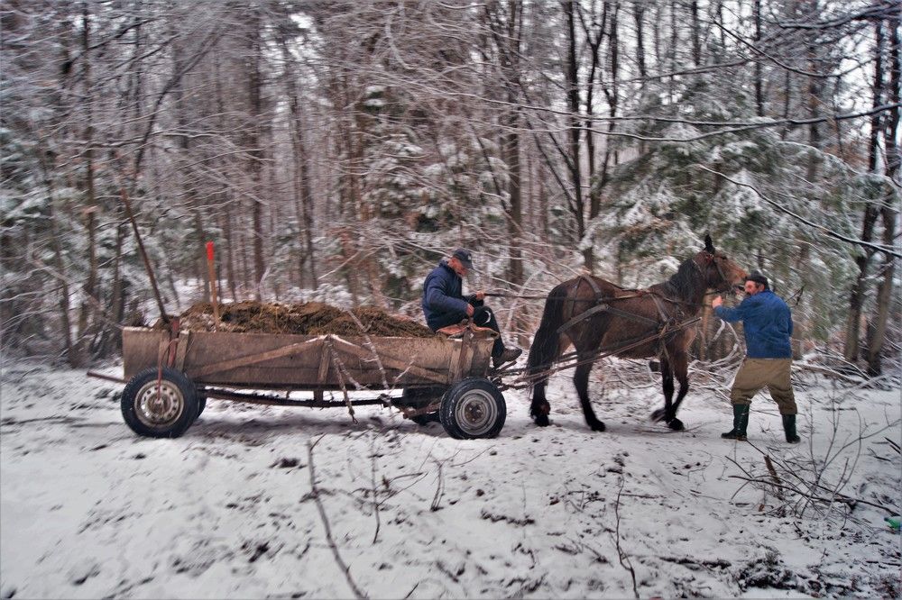 Photograph by zohar ferro