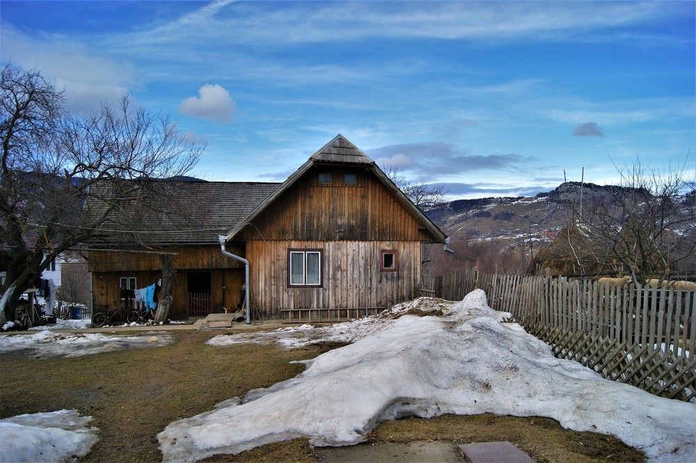 Photograph by zohar ferro