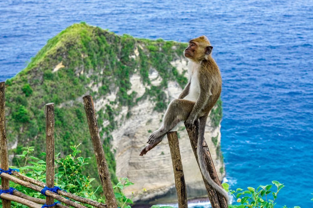 It's a Beautiful Life