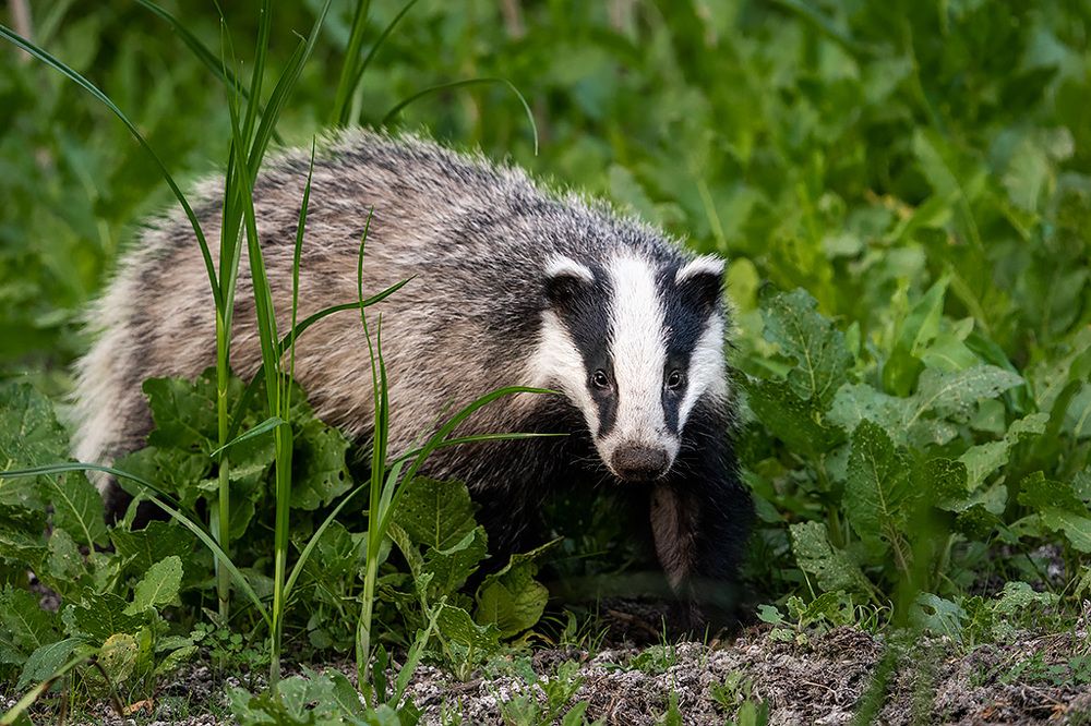 Photograph by Сергей Савви