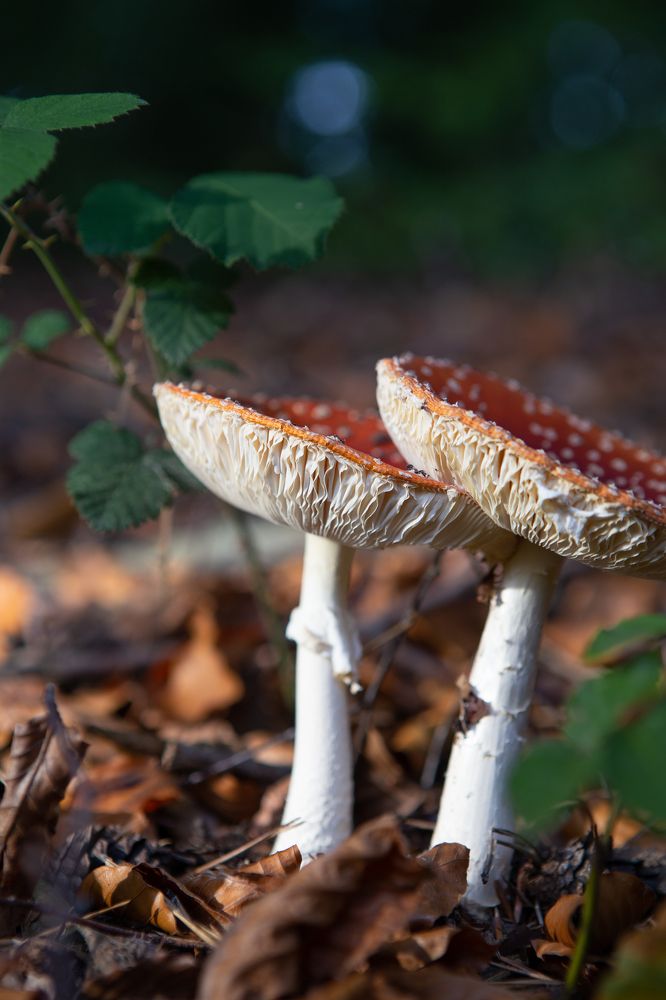 Photograph by Tatiana Kurilas