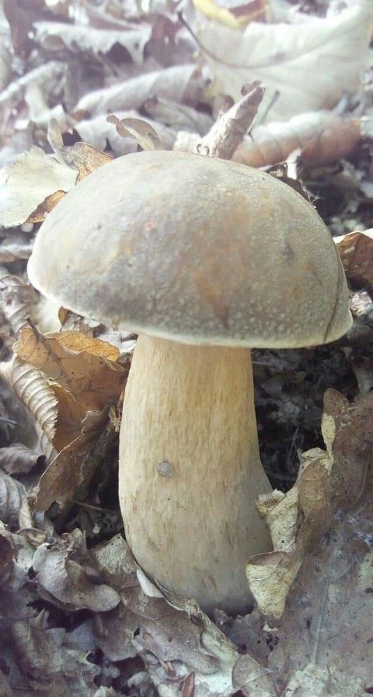 Photograph by Marijana Dragosavljevic