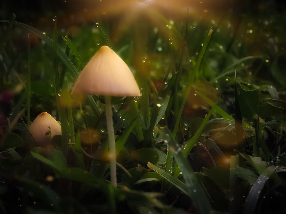 Photograph by Gabrijela Pavičić