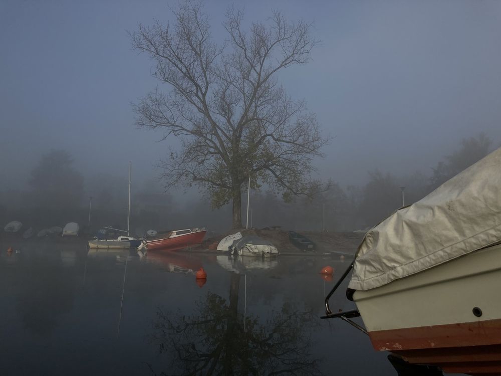 Photograph by Galia Bassani