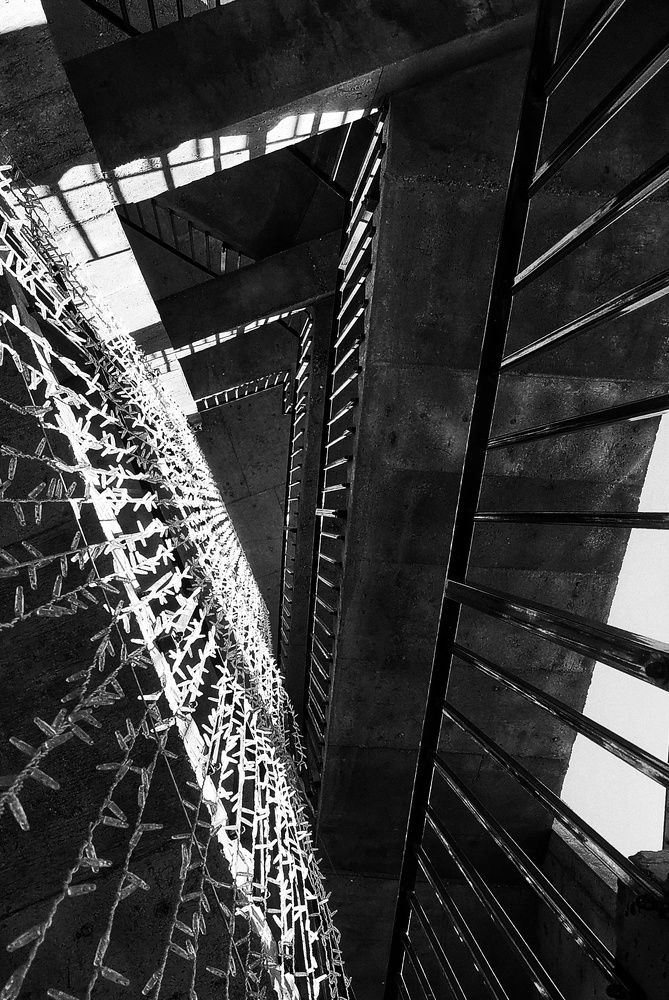 Photograph by Ольга Мажарук