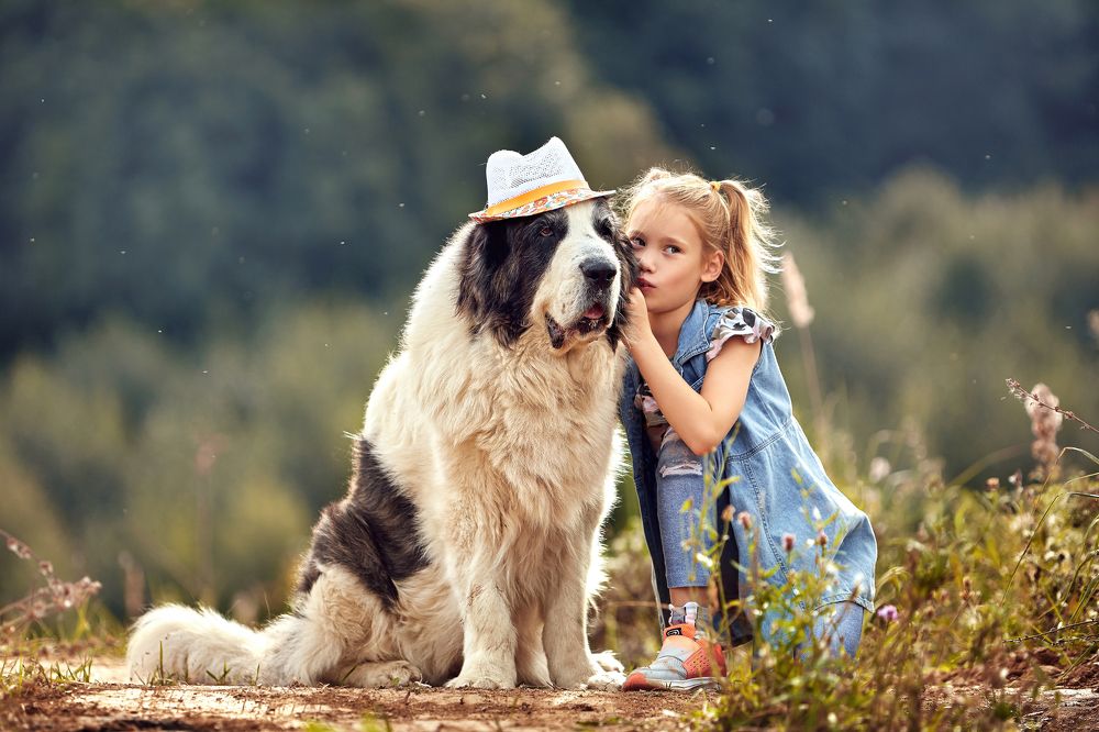 Photograph by Наталья Мячикова