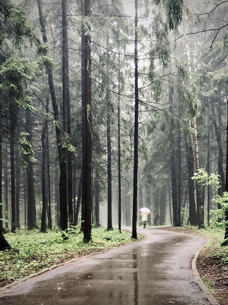 Photograph by Ольга Харлан