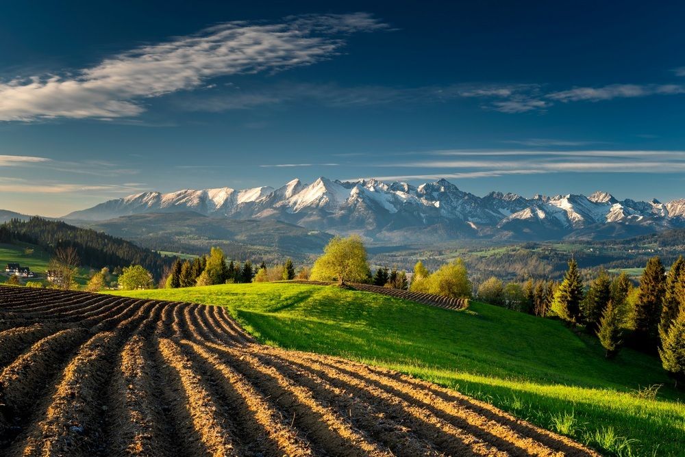 Photograph by Jan Ulicki