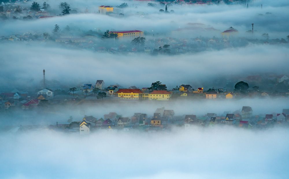 Photograph by Trung Luong