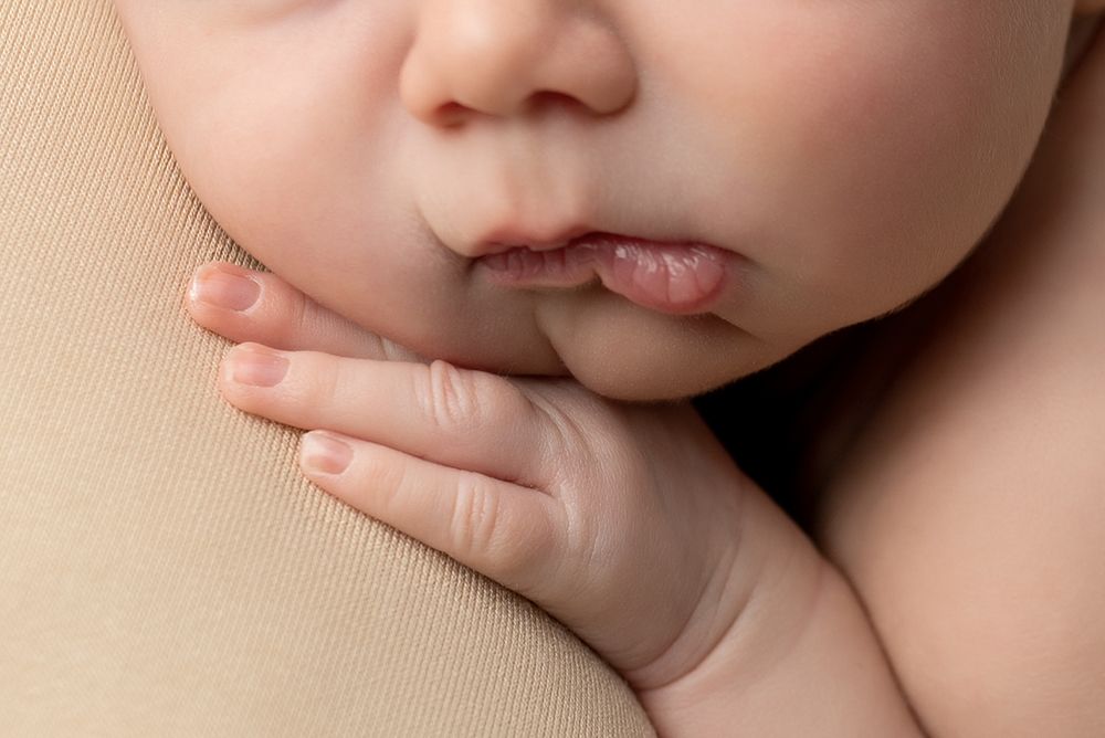 Photograph by Cécile Rulmont