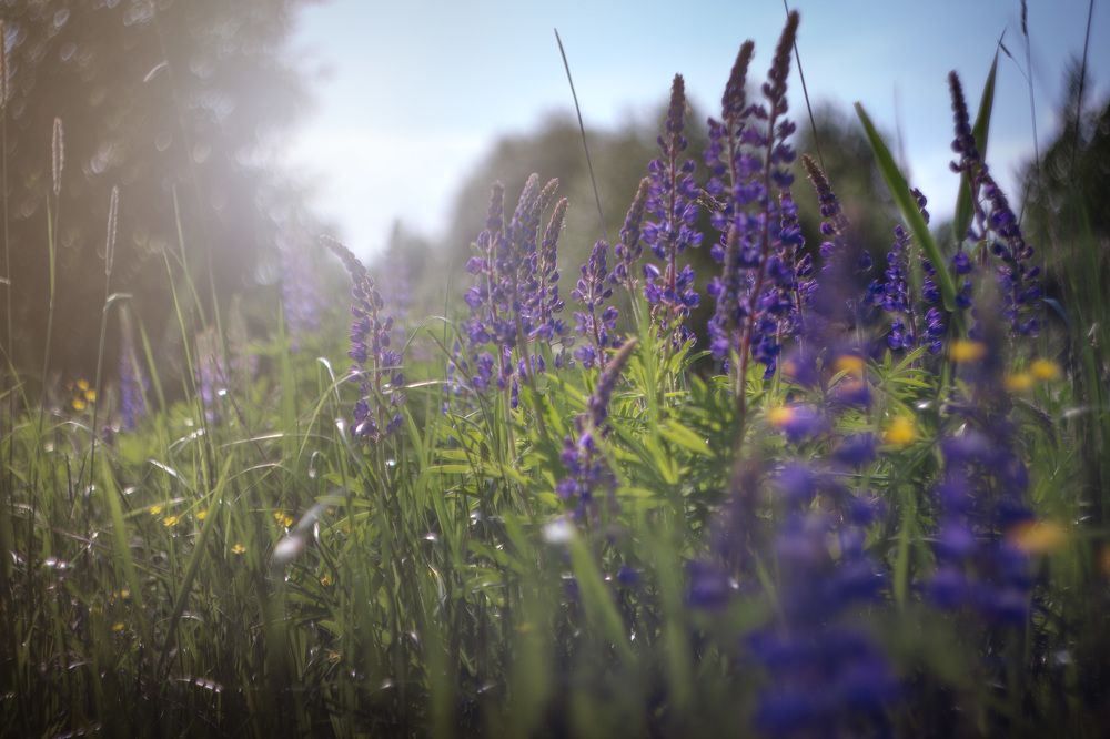 Photograph by Александр Яровой