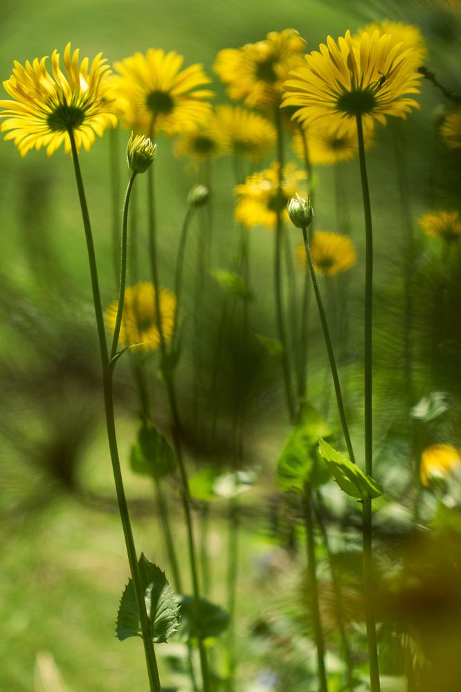 Photograph by Тимофей Забугин