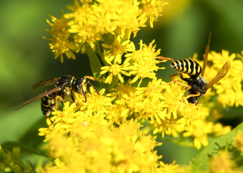 Photograph by Дмитрий Бельмаз