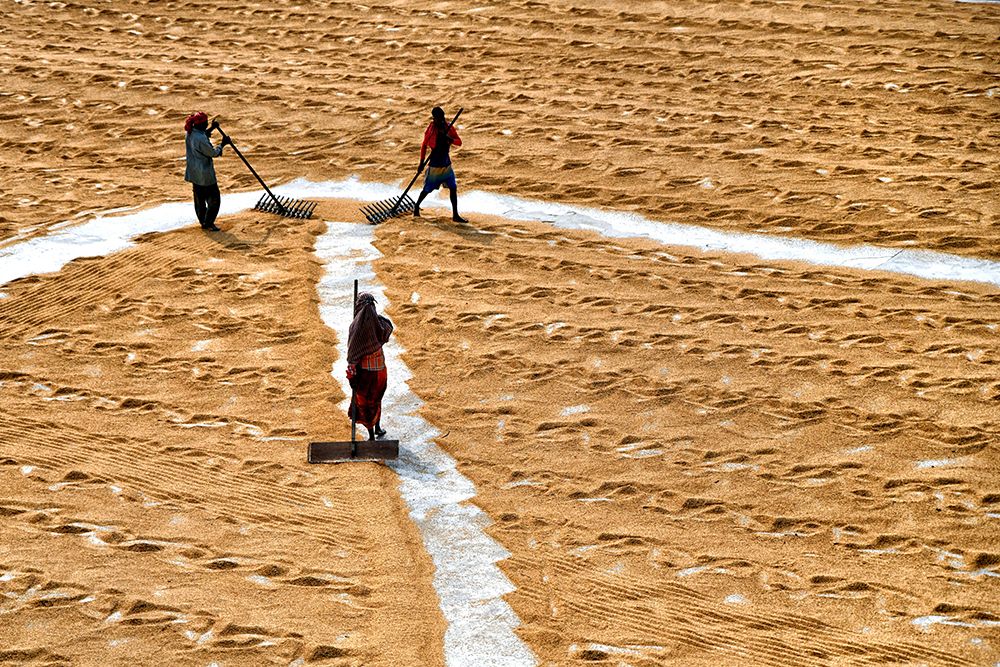 Photograph by Shaibal Nandi