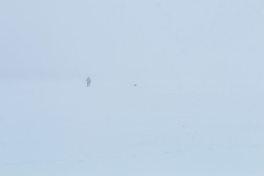 Photograph by Лебедев Юрий-Александрович